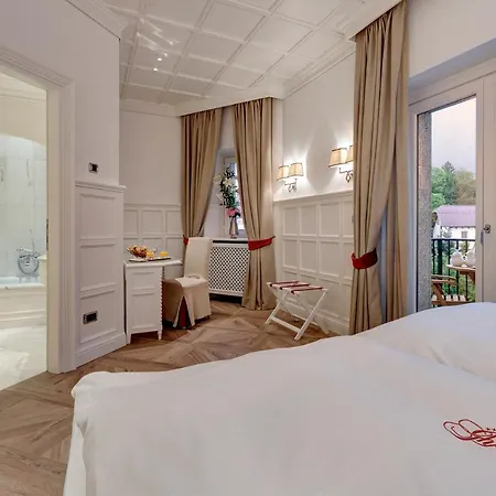 Hotel Grand Des Alpes