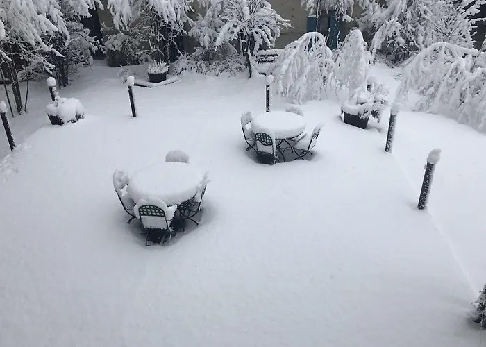 Hotel Grand Des Alpes 5*